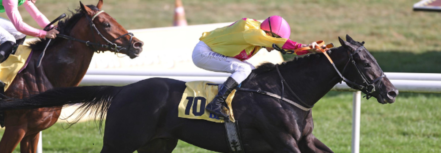 54 Jahre alter Jockey de Vries gewinnt mit Wikinger in Iffezheim