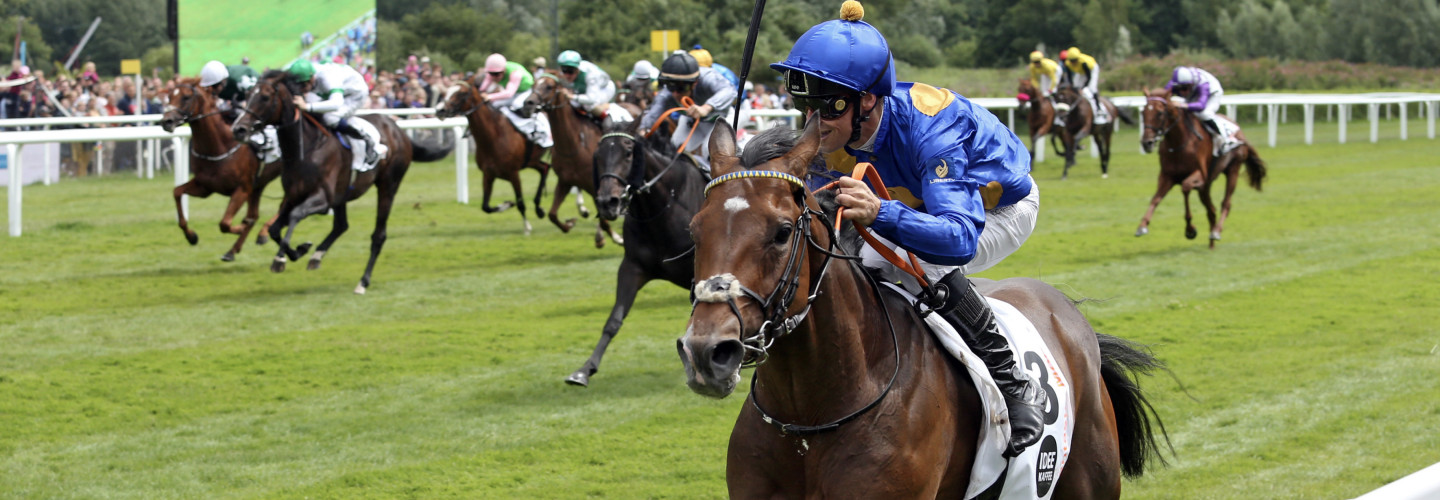 Fantastic Moon gewinnt das 154. Deutsche Derby