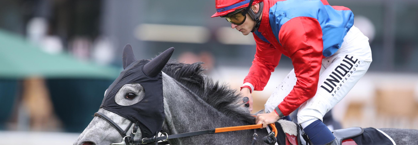 Schimmelstute North Reliance gewinnt Grand Prix in Hannover