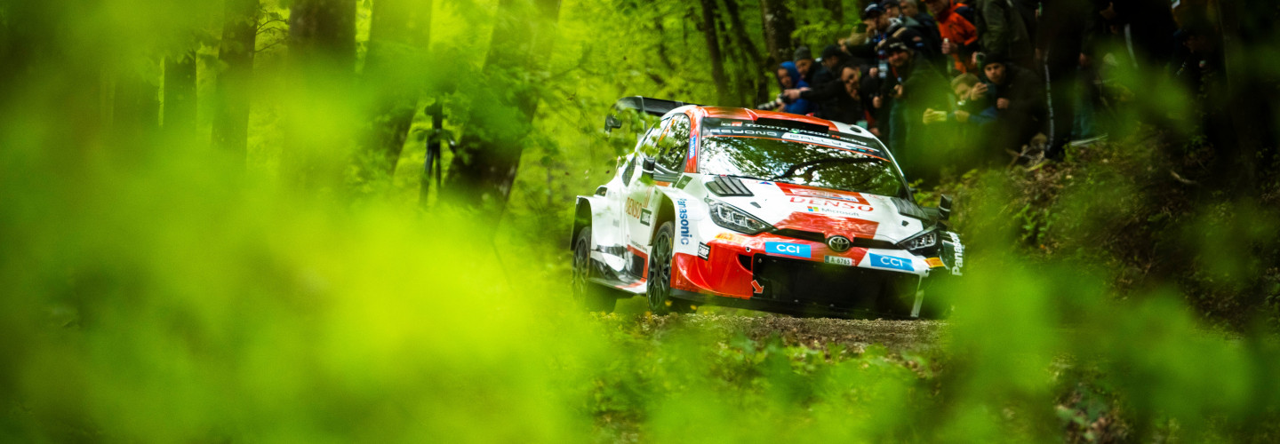 Stage Maps veröffentlicht: Auf direktem Weg zur Rallye-Action