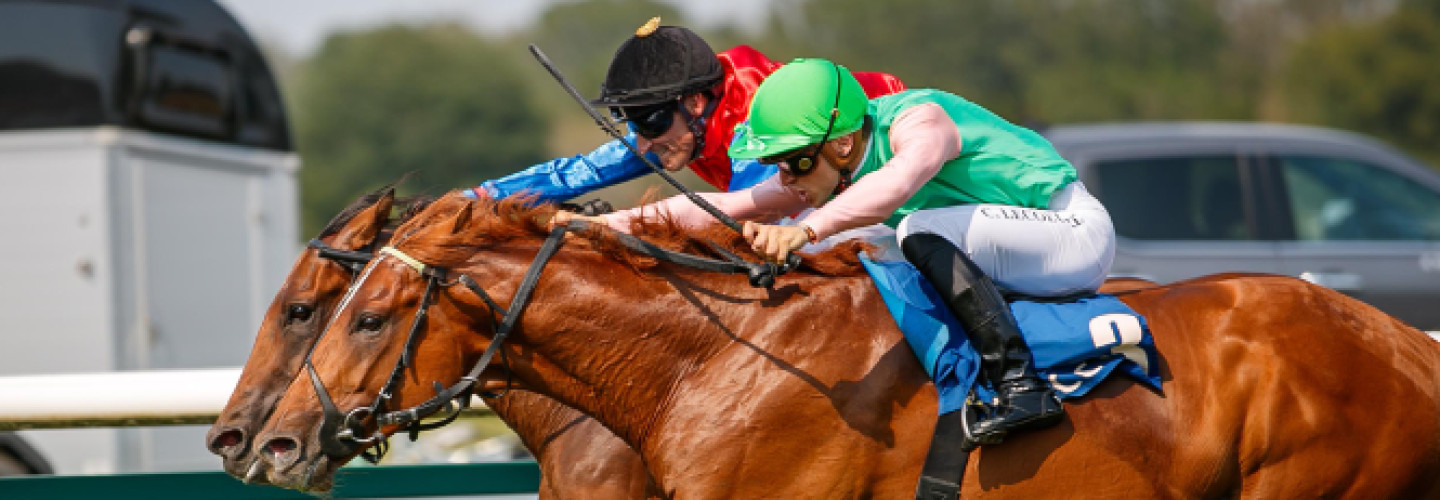 Hengst Bukhara gewinnt Saisonhighlight in Magdeburg