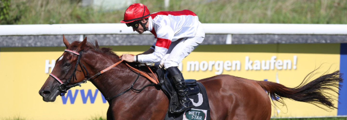Wallach Lordano eine Klasse für sich im 139. Deutschen St. Leger