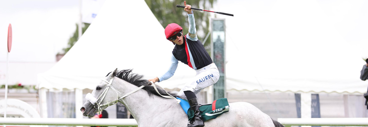 Schimmelstute Three Havanas gewinnt Sparkasse Holstein-Cup