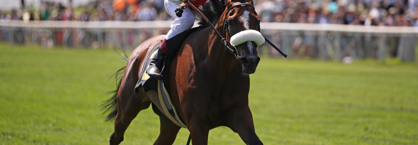 Deutsche Starstute gegen Polens Derbysieger in Hoppegarten