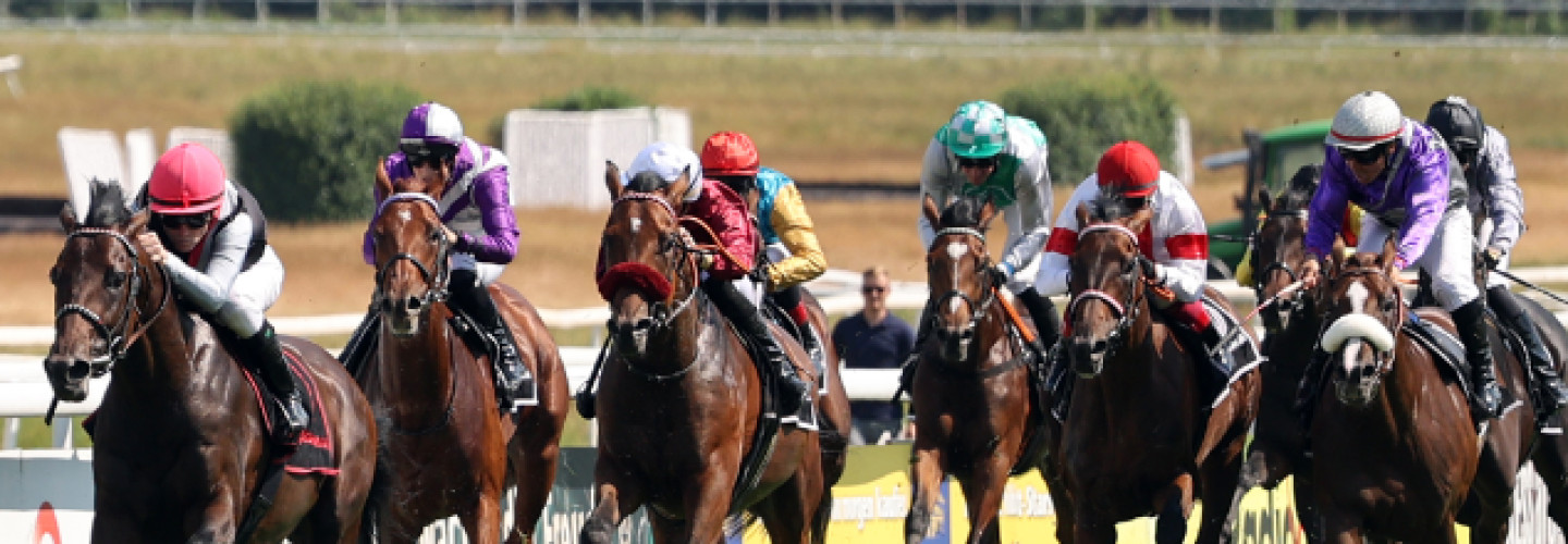 154. Deutsches Derby – Das Duell von Straight und Mr Hollywood