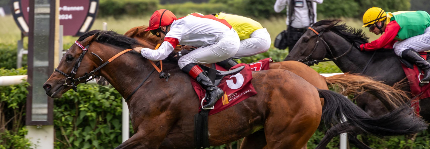Hengst Alessio gewinnt 53. Oleander-Rennen in Hoppegarten