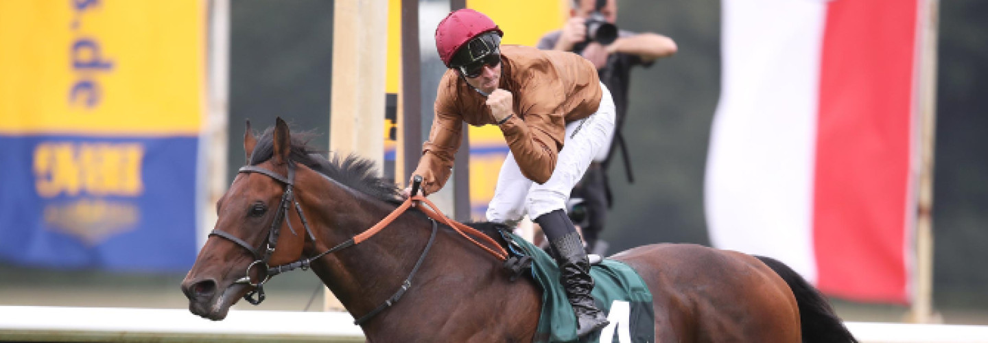Kölner Wallach Lord Charming gewinnt Preis der Deutschen Einheit in Hoppegarten